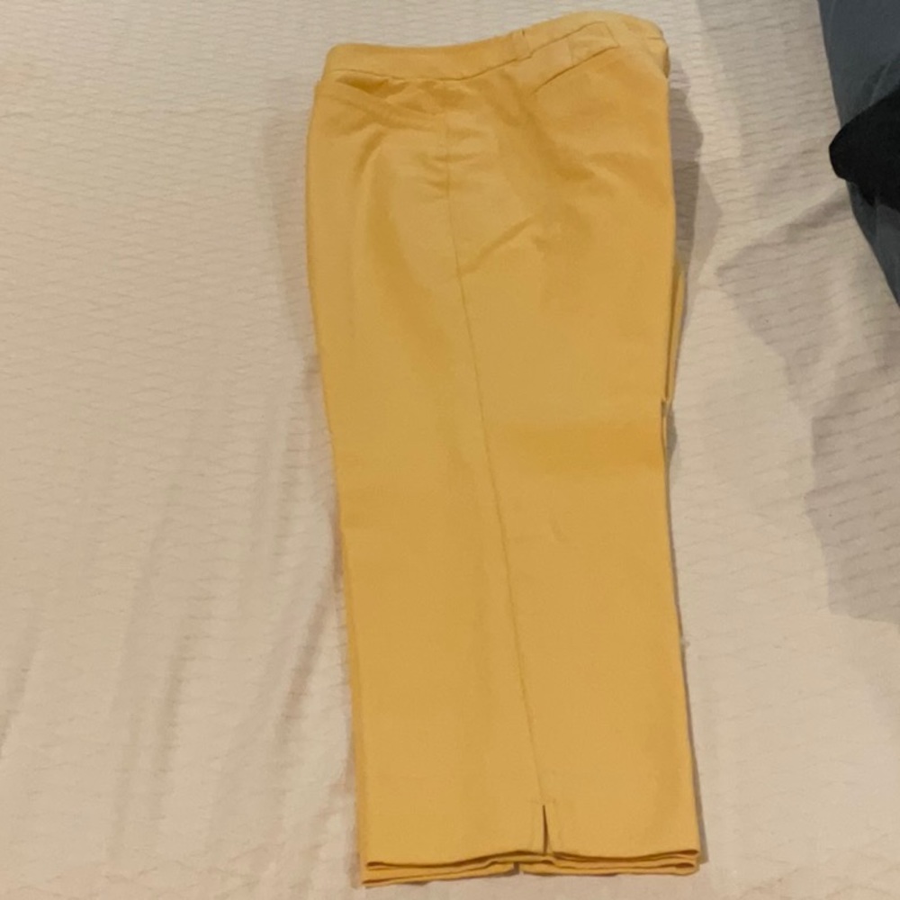 Ladies White House Black Market ankle pants